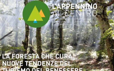 La Foresta che cura, nuove tendenze del turismo del benessere